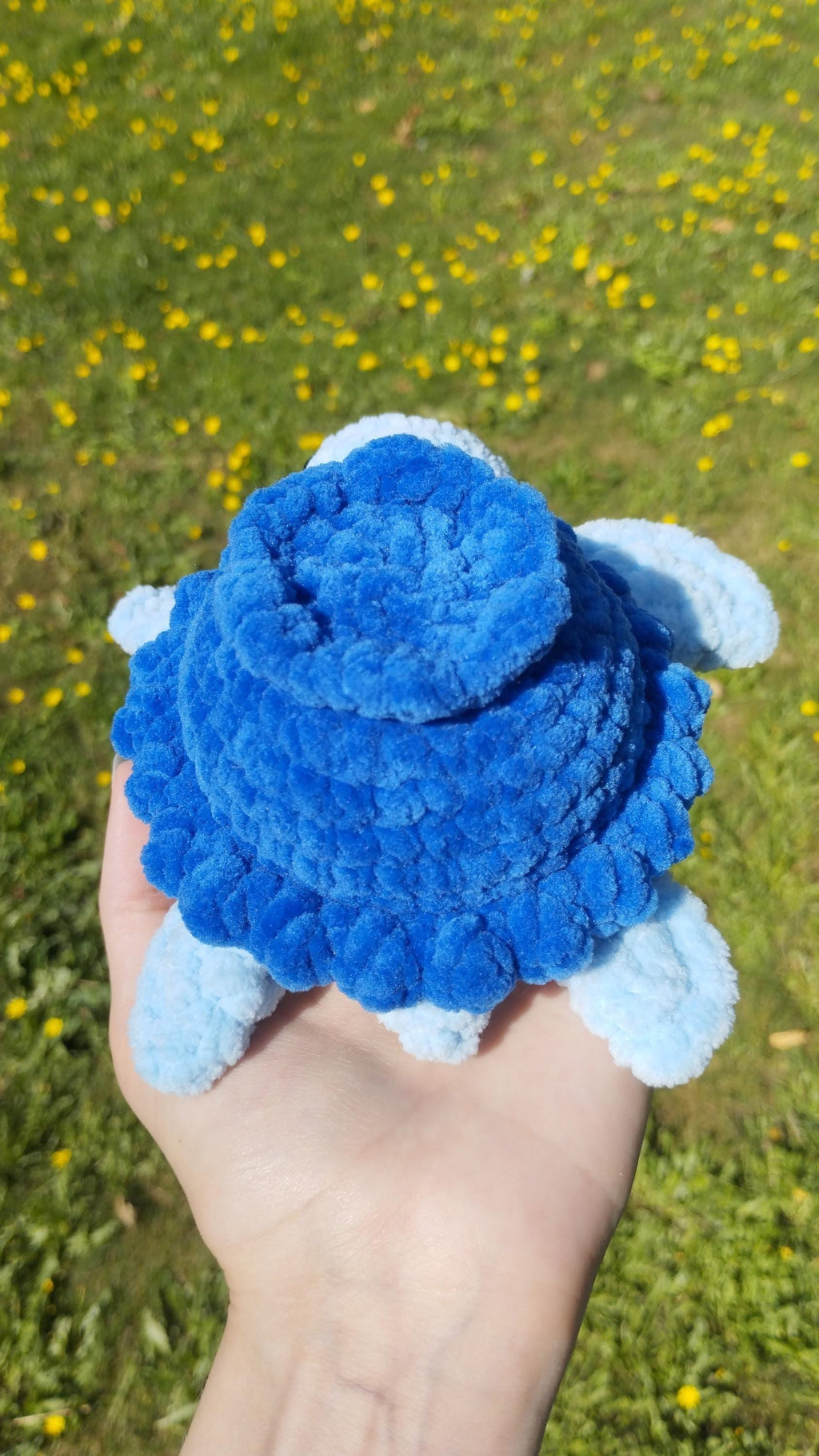 Peluche tortue myrtille